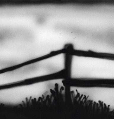 Exposition « À L&rsquo;Horizon » de Némo Richard-Roussel