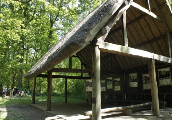 Cabane forêt Grimbosq