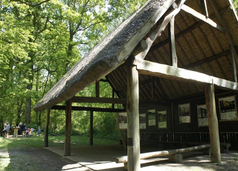 Cabane forêt Grimbosq