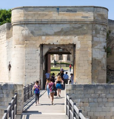 Le Château de Caen