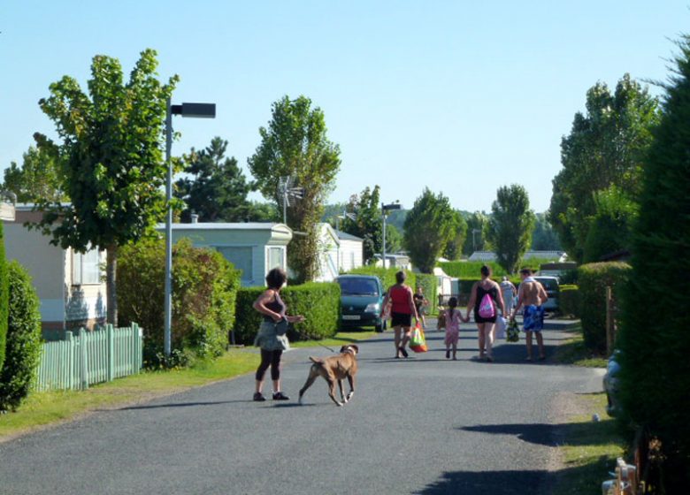 Allée dans le Camping des Salines de Colleville-Montgomery