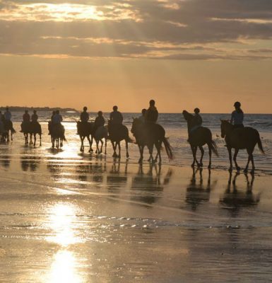 Centre Équestre de Ouistreham David Aïssa