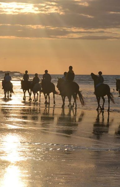 Centre Équestre de Ouistreham David Aïssa