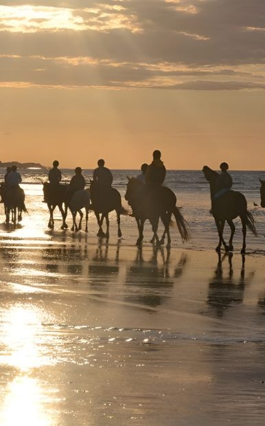 Centre Équestre de Ouistreham David Aïssa