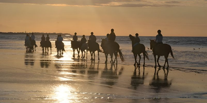 Centre Équestre de Ouistreham David Aïssa