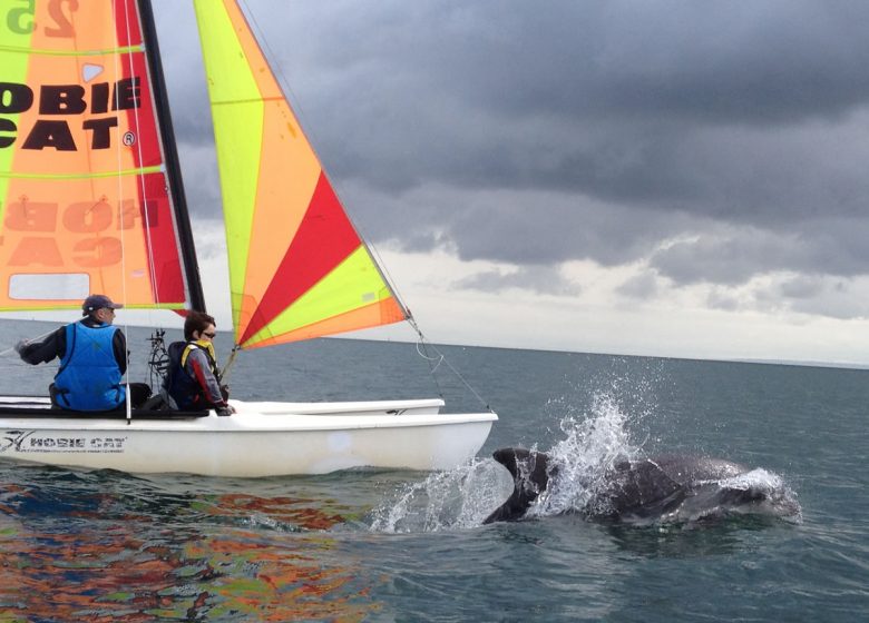 Sortie catamaran avec OCEAN