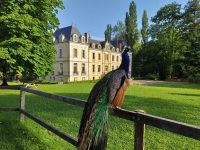 Le Domaine de Ouezy