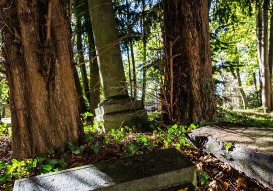 Cimetière dormant Saint Nicolas à Caen