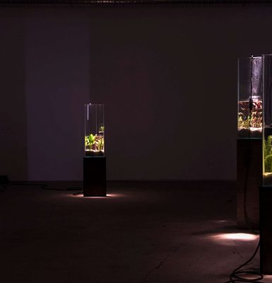 Exposition « La Vague irrésolue » – Clément Davout et Léo Fourdrinier (en partenariat avec le festival Interstice)