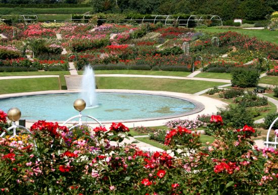 Colline-oiseaux-Caen800x600