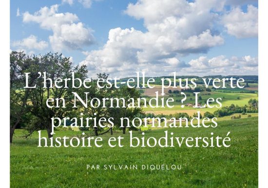 Conférence14février2026