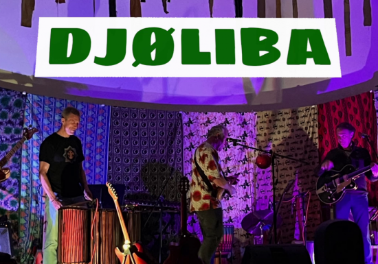 Apéro truck avec Djøliba