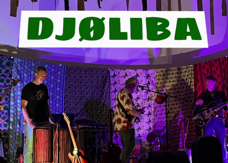 Apéro truck avec Djøliba