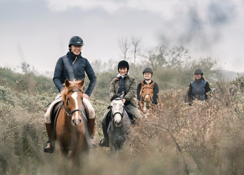 la baie de sallenelles