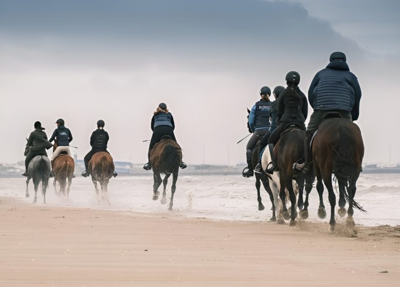 Galop sur la plage
