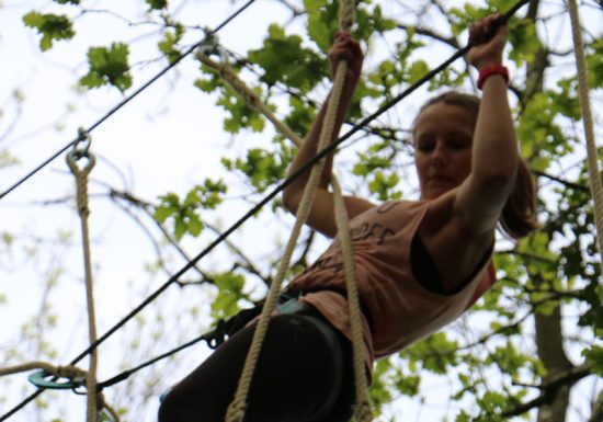 Parcours dans les arbres Calvados