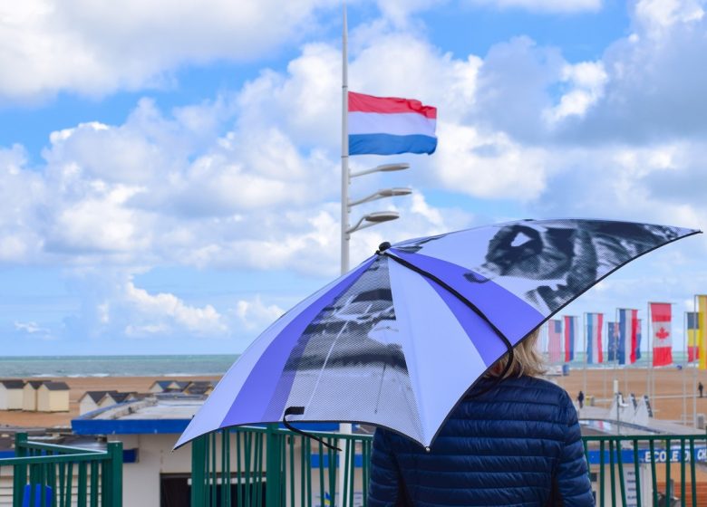 Delicate-Ouistreham1