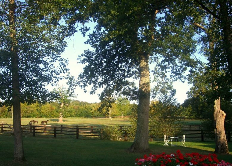 Domaine de la Tour- Parc