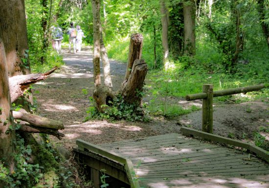 ENS Bois du Caprice – Mai 2021