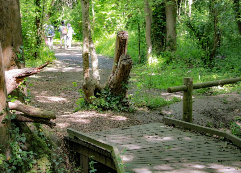 ENS Bois du Caprice – Mai 2021