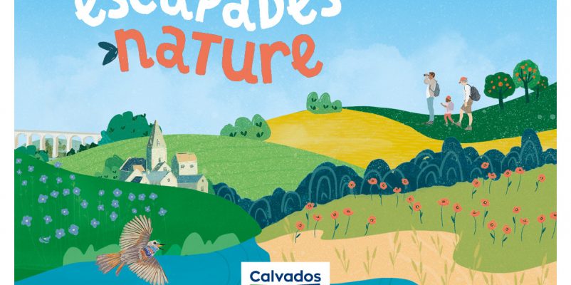 Sortie champignons en forêt d&rsquo;Ifs avec cueillette