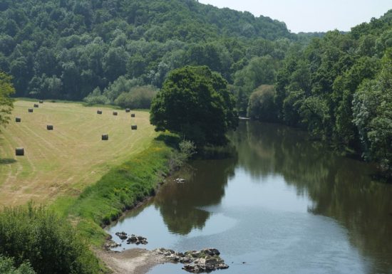 L’Orne qui longe la forêt de Grimbosq
