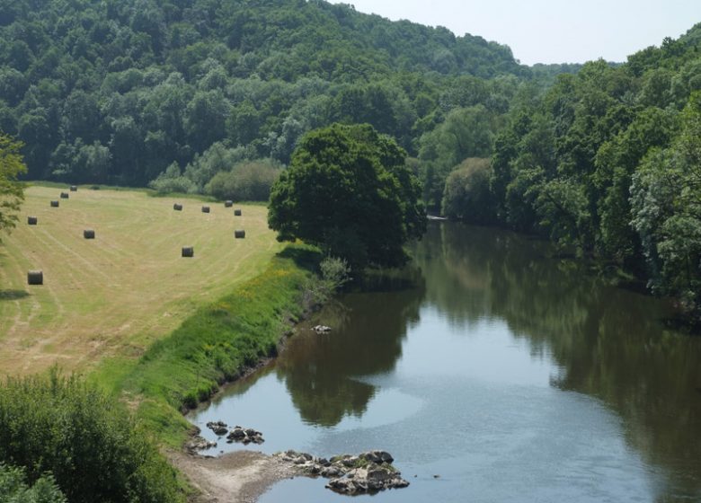 L’Orne qui longe la forêt de Grimbosq