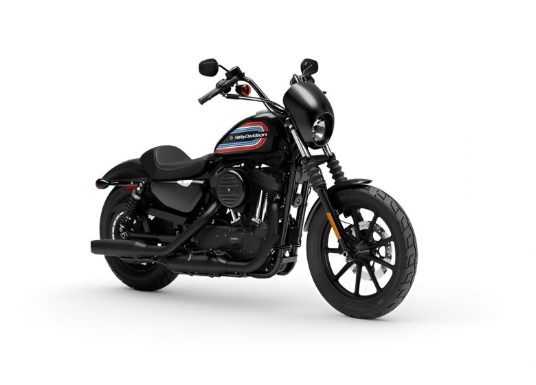 Harley Davidson 1200 iron (2)