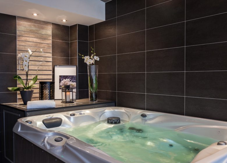 Hotel Ivan Vautier – spa