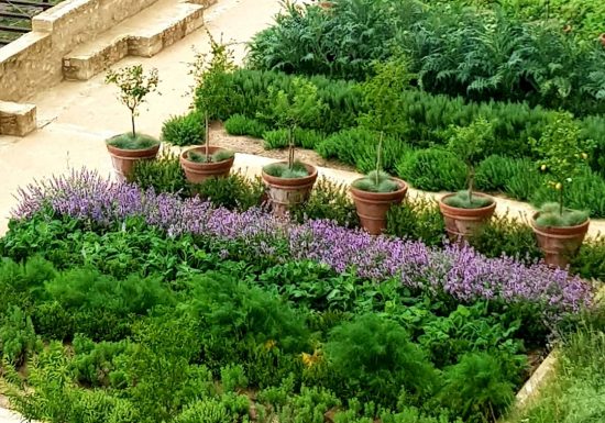 Conférences de l&rsquo;Institut Européen des Jardins & Paysages