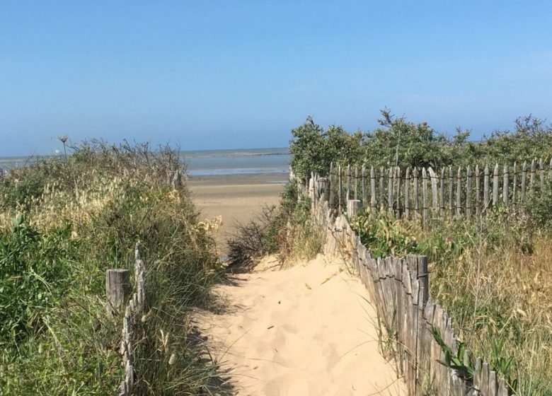 Découverte sensorielle de la Pointe du Siège