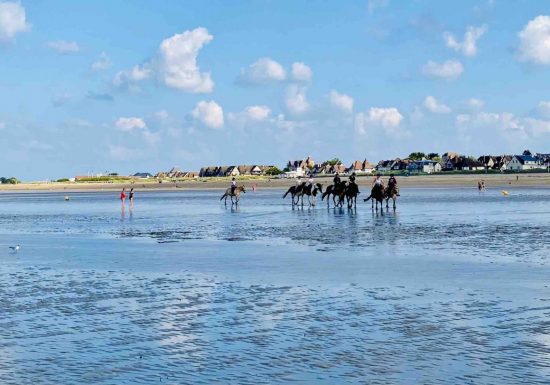 La Balanderie – balades à cheval