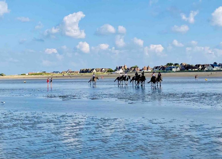 Chevaux sur la plage Manoir La Balanderie Colleville Montgomery Normandie