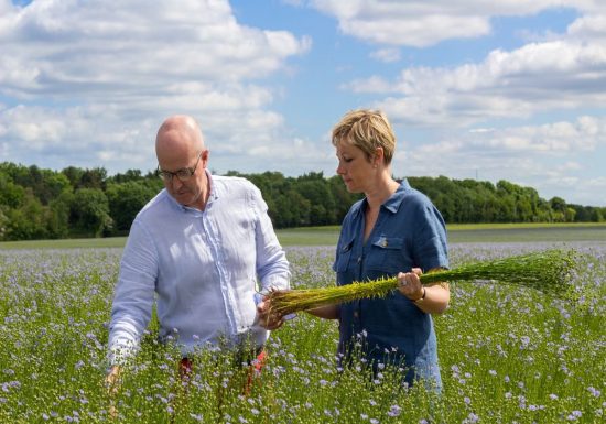 ferme-saint-vaast-floraison-du-lin