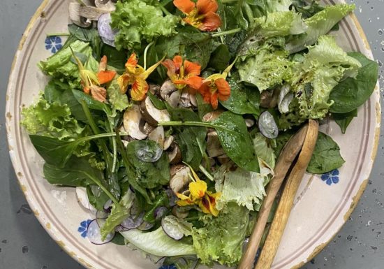 billy-and-co-salade-et-fleurs-comestibles