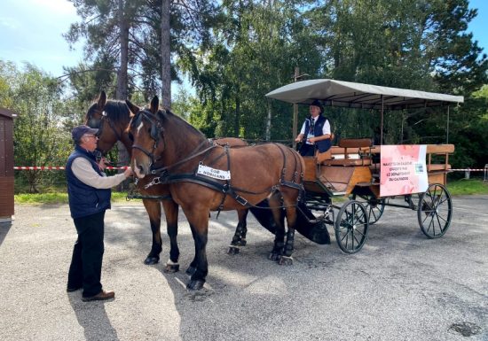 Illustration calèche