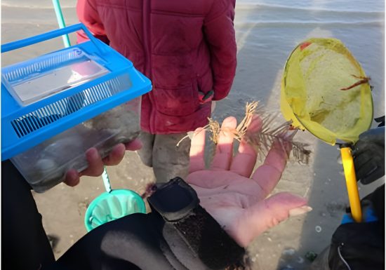 Séance milieu marin