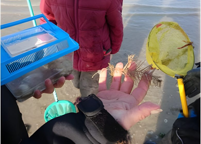 Séance milieu marin