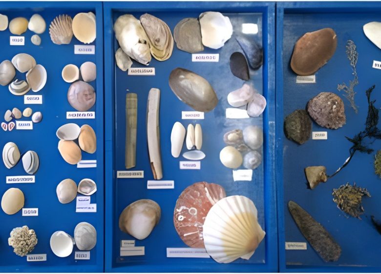 Séance milieu marin