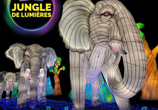 JDL2025-Elephant-1200x1200px