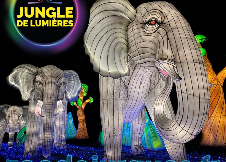 JDL2025-Elephant-1200x1200px