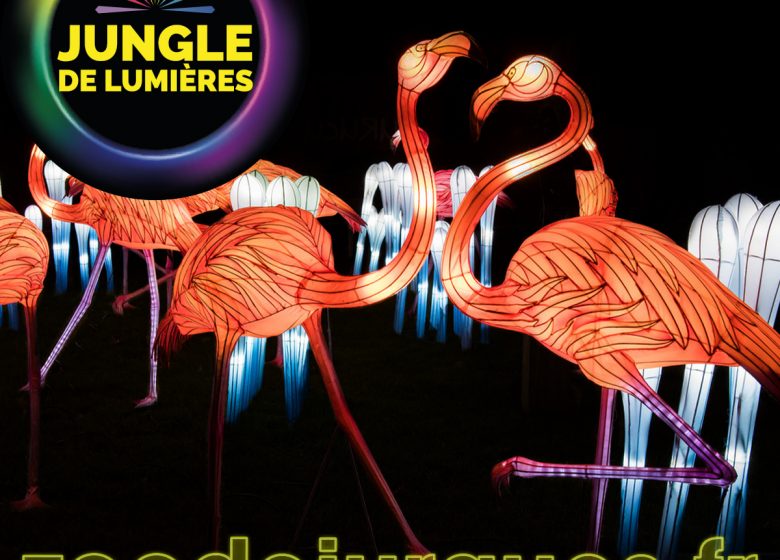 JDL2025-FlamantsRose-1200x1200px