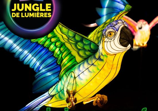 JDL2025-Perroquet-1200x1200px