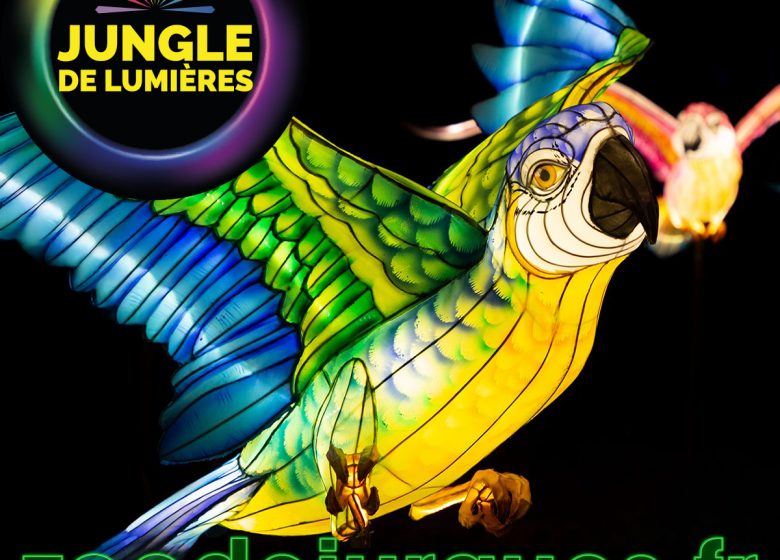 JDL2025-Perroquet-1200x1200px