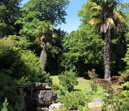 Jardin_des_plantes__Calvados_Attractivite-2863