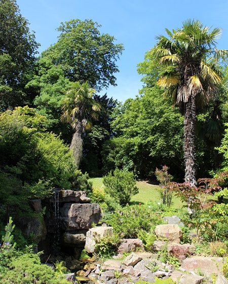 Jardin_des_plantes__Calvados_Attractivite-2863