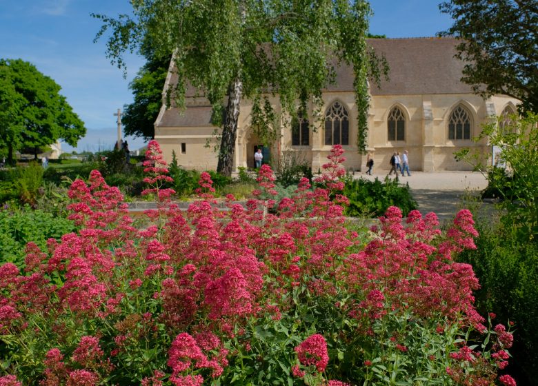 Jardin des simples au château de Caen