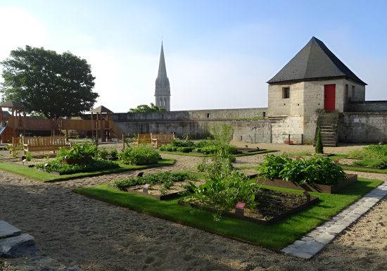 Jardin des simples à Caen