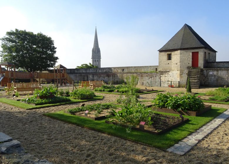 Jardin des simples à Caen