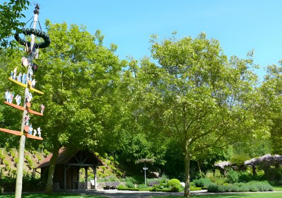 Caen-colline-aux-oiseaux
